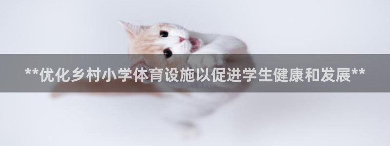 意昂3娱乐首页官网下载：**优化乡村小学体育设施以促