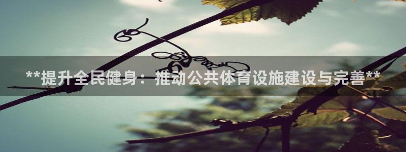 意昂体育3娱乐：**提升全民健身：推动公共体育设施建