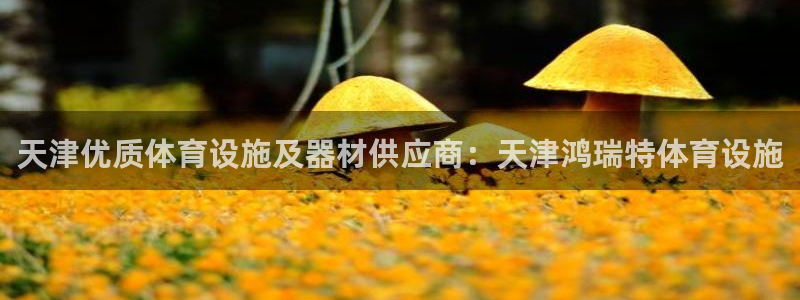 意昂3神州：天津优质体育设施及器材供应商：天津鸿瑞特