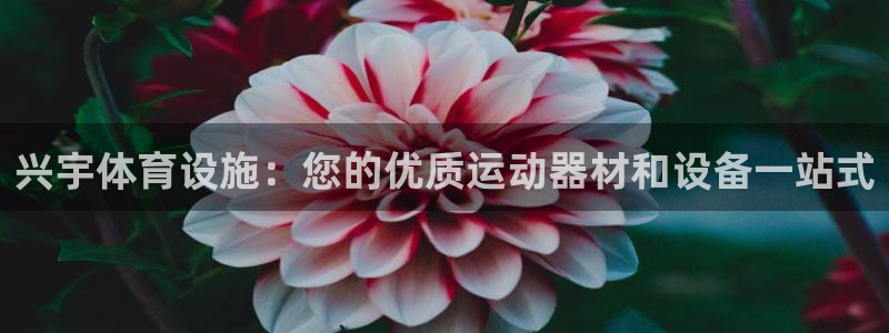 意昂平台体育：兴宇体育设施：您的优质运动器材和设备一