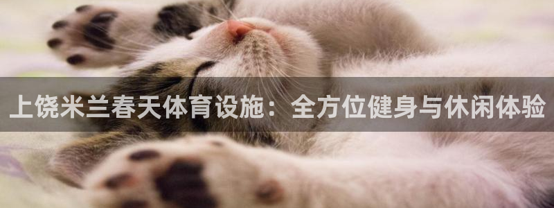 意昂3科技：上饶米兰春天体育设施：全方位健身与休闲体