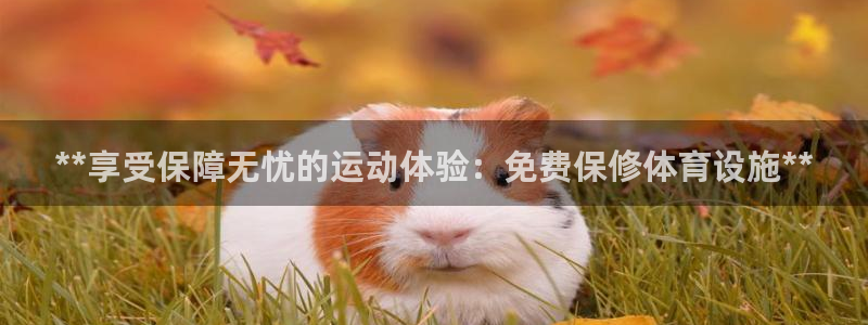 意昂体育3官方客服电话：**享受保障无忧的运动体验：