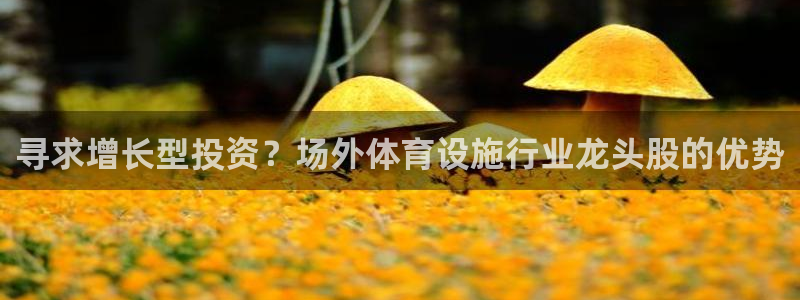 海南意昂体育3：寻求增长型投资？场外体育设施行业龙头