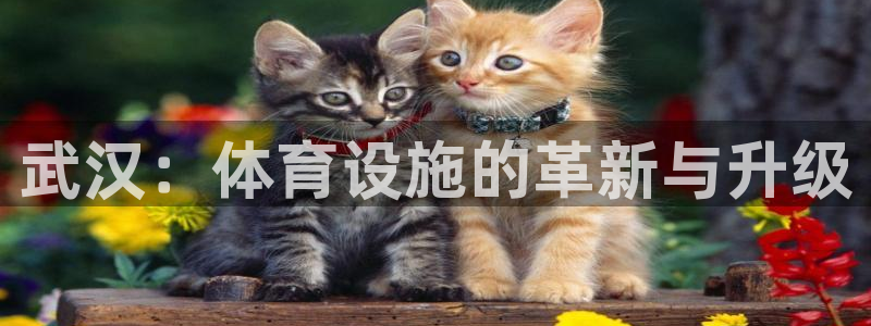 意昂3娱乐首页网站大全
