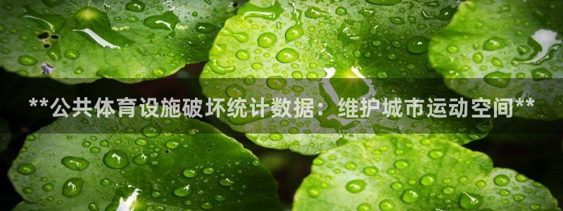 意昂3娱乐平台：**公共体育设施破坏统计数据：维护城市运动空