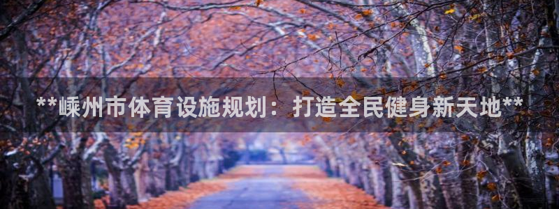 意昂3新能源：**嵊州市体育设施规划：打造全民健身新天地**
