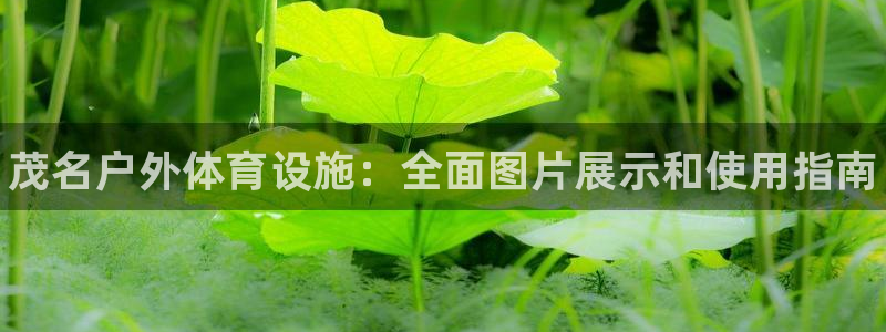 意昂3娱乐网站：茂名户外体育设施：全面图片展示和使用指南