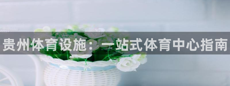意昂体育3是干嘛的公司：贵州体育设施：一站式体育中心指南 
