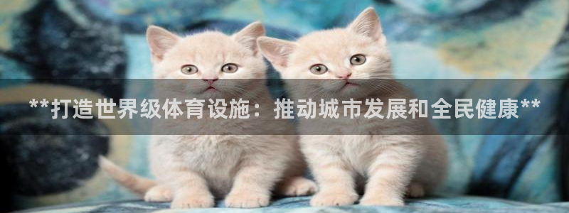 意昂集团官网：**打造世界级体育设施：推动城市发展和全民健康