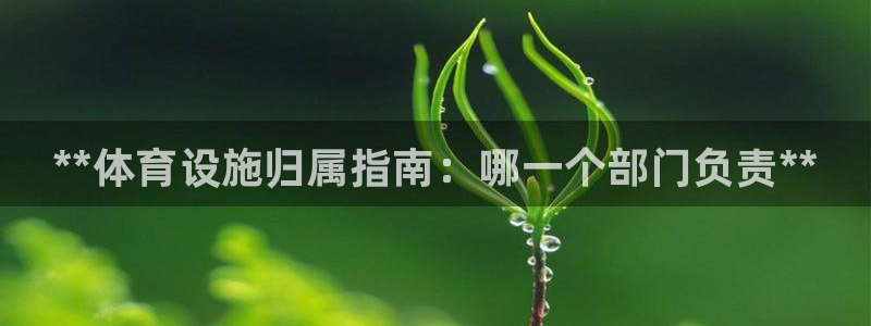 意昂体育3平台是正规平台吗：**体育设施归属指南：哪一个部门