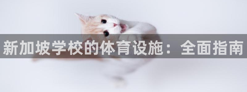 意昂3官方：新加坡学校的体育设施：全面指南