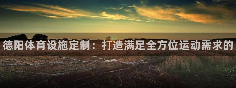 意昂3娱乐40996：德阳体育设施定制：打造满足全方位运动需