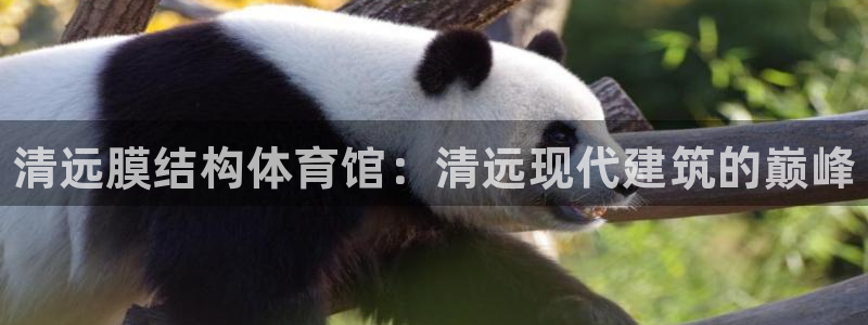 意昂体育3招商电话号码是多少：清远膜结构体育馆：清远现代建筑