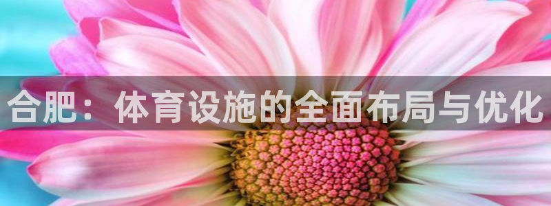 意昂3娱乐平台：合肥：体育设施的全面布局与优化 