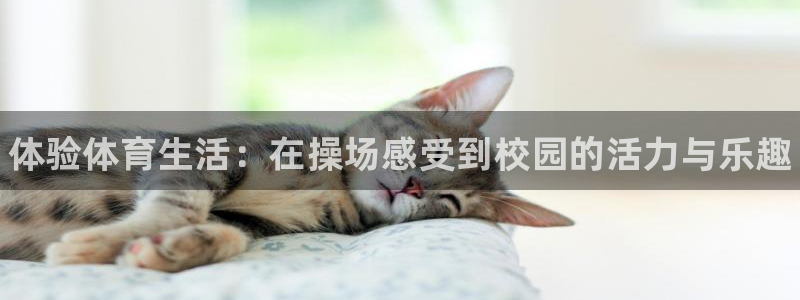 意昂体育3招商电话号码