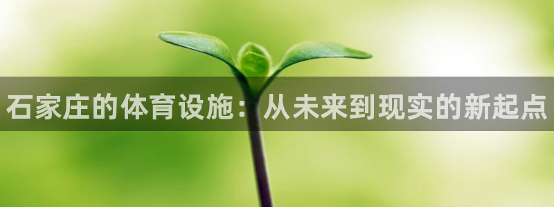 意昂体育3招商电话号码查询是多少：石家庄的体育设施：从未来到