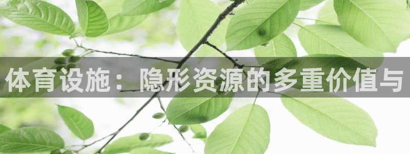 意昂体育3招商电话是多少啊