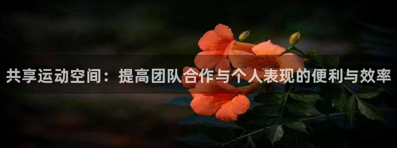 意昂体育3平台假的吗是真的吗吗：共享运动空间：提高团队合作与