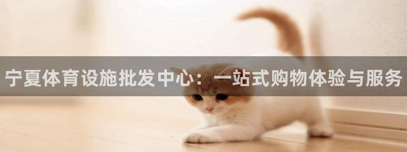 意昂体育3软件：宁夏体育设施批发中心：一站式购物体验与服务 
