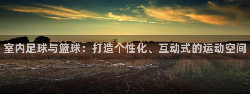 意昂3娱乐网站：室内足球与篮球：打造个性化、互动式的运动空间