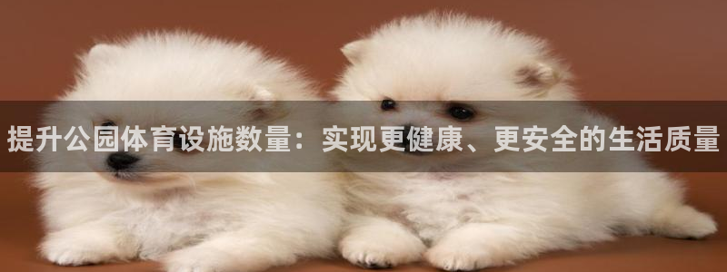 意昂3娱乐首页官网下载：提升公园体育设施数量：实现更
