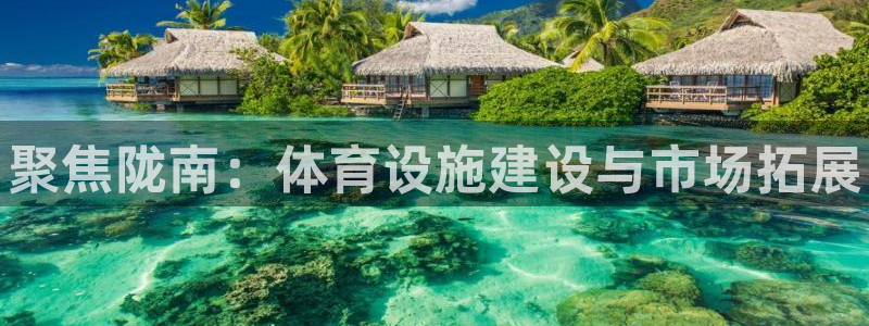 意昂3娱乐网站：聚焦陇南：体育设施建设与市场拓展