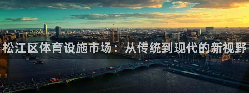 意昂3官网：松江区体育设施市场：从传统到现代的新视野