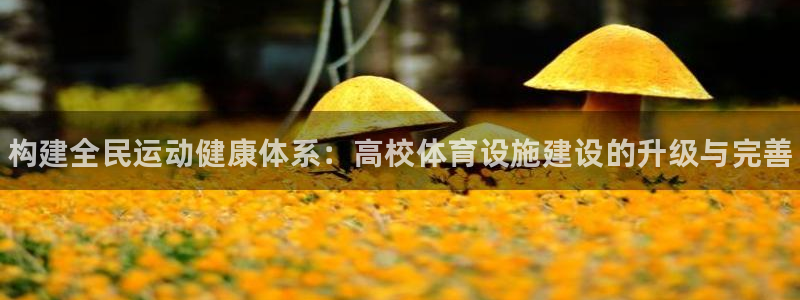 意昂3集团简介：构建全民运动健康体系：高校体育设施建设的升级 