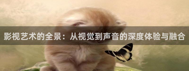 日韩噜噜噜影院：影视艺术的全景：从视觉到声音的深度体验与融合